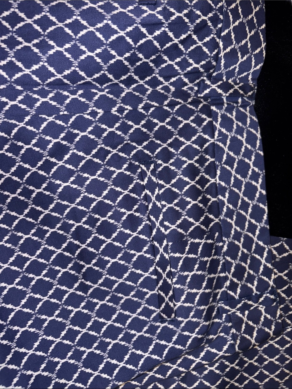 Joe Fresh Navy and White Ankle Pants - Picture 4 of 5